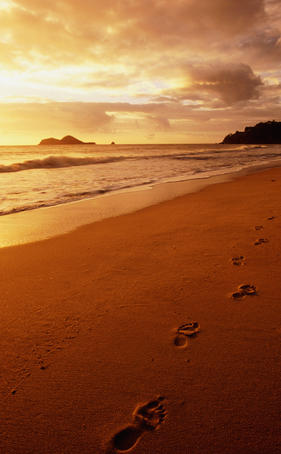 Footprints on beach at sunrise, Ellis Beach.