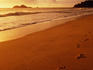 Footprints on beach at sunrise, Ellis Beach.