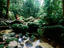 National Park, Far North Queensland