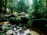 Hiker relaxing at Mossman Gorge, Daintree National Park.