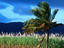 Daintree, Far North Queensland