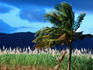 Palm tree and sugarcane field near Daintree.