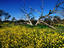 Image_23692-37