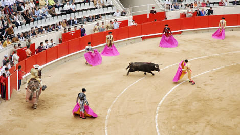 Image_23695-9