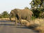 Image_23698-11