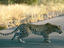 Image_23698-6