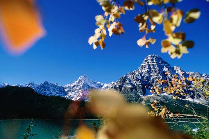 Mountains surround Waterfowl Lake in autumn.