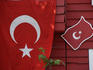 Turkish emblems on Freedom House.