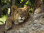Image_23788-18