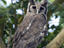 Queen Elizabeth National Park, Uganda