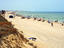 Image_23795-1