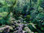 Image_23801-7