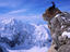 Image_23813-20