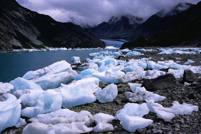 Stranded icebergs, McBride Glacier lagoon.