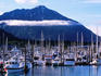 Small boat marina, Resurrection Bay.