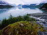 Moss and stream mouth, Muir Inlet.