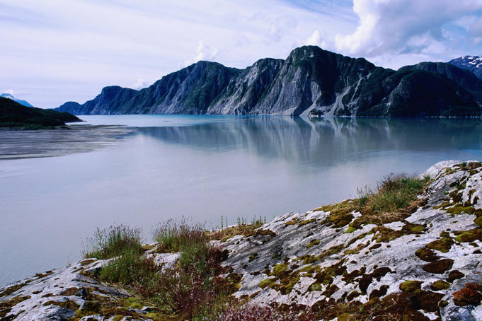 White Thunder Ridge and Muir Inlet.