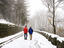 Avala Park after November snowfall, Outer Belgrade.