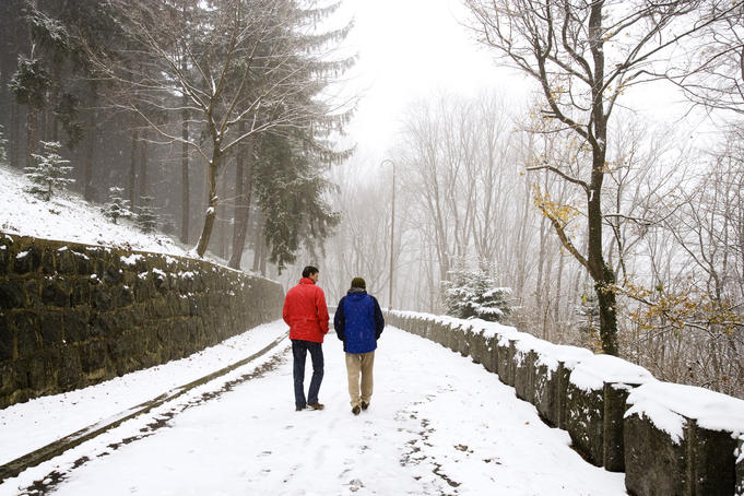 Avala Park after November snowfall, Outer Belgrade.