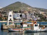 Boats in harbour with high-rise buildings on hill beyond.