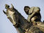 Image_23835-48