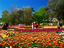 Commonwealth Park, Canberra