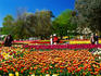 Flower display at Floriade Festival, Commonwealth Park.