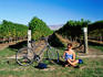 Woman sitting on ground next to her bicycle and checking map with vines behind.