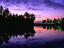 Image_2384-12