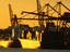 Image_2384-3