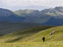 Man walking in countryside near Sinaia.