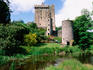 Blarney Castle near Cork.