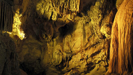 Image_23888-10