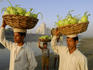Vegetable sellers crossing Yamuna River at sunrise in front of Taj Mahal.