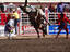 Image_23918-27