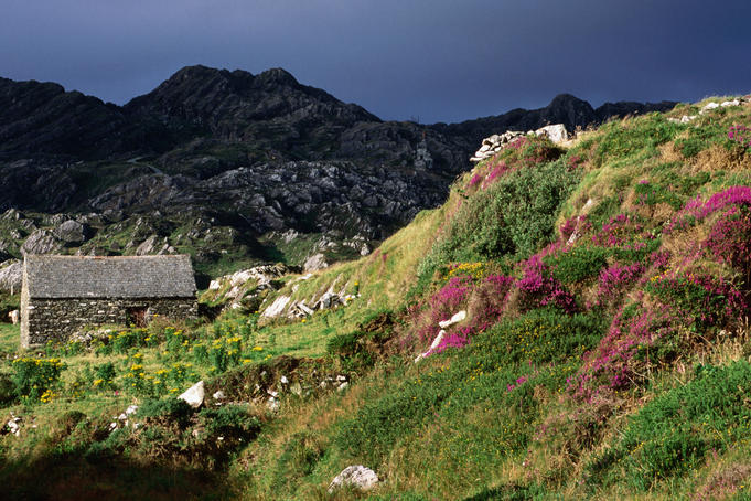 Barn and heather.