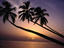Image_23940-43