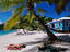 Sunbathing on White Bay Beach.
