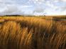 Steaming bluff landscape.