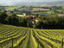 Image_24086-47