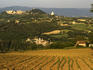 Crops growing below hilltop Todi town with Pontecuti village (lower left) and Temple of Santa Maria della Consolazione (right).