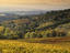 Castellino, Tuscany