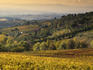Autumnal landscape near Castellino.
