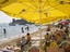 Beach, Mediterranean Coast