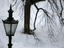 Lamp and bare willow in snow, Castle Square.