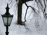 Lamp and bare willow in snow, Castle Square.