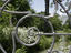 Bridge over Eisbach river in Englischer Garten.