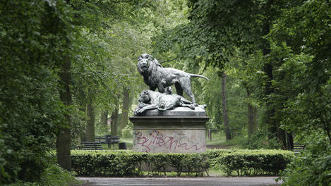 Image_24114-24