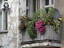 Image_24114-40