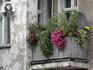 Balcony with flowers and Che Guevara satellite dish, Mitte.